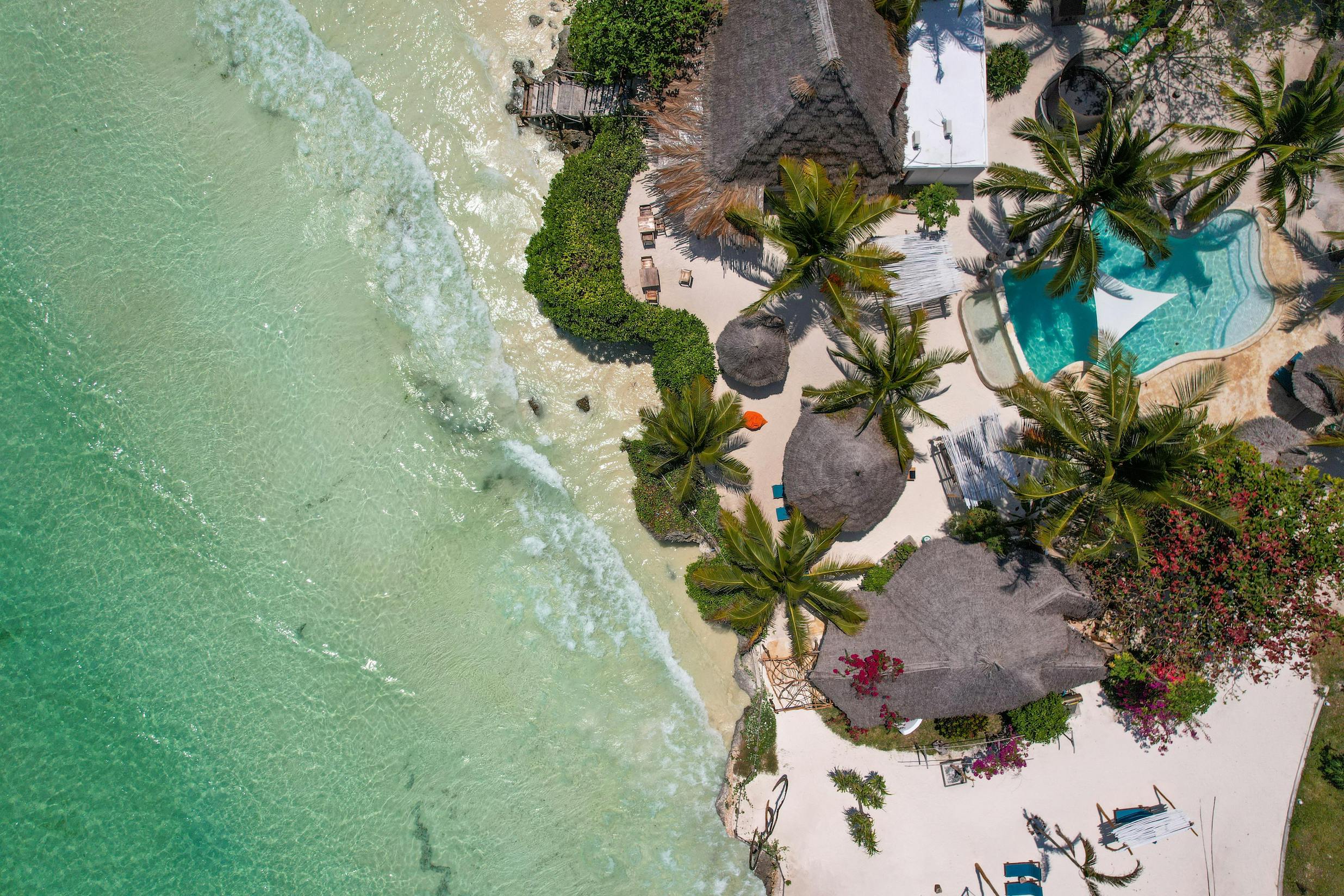 zanzibar rubi